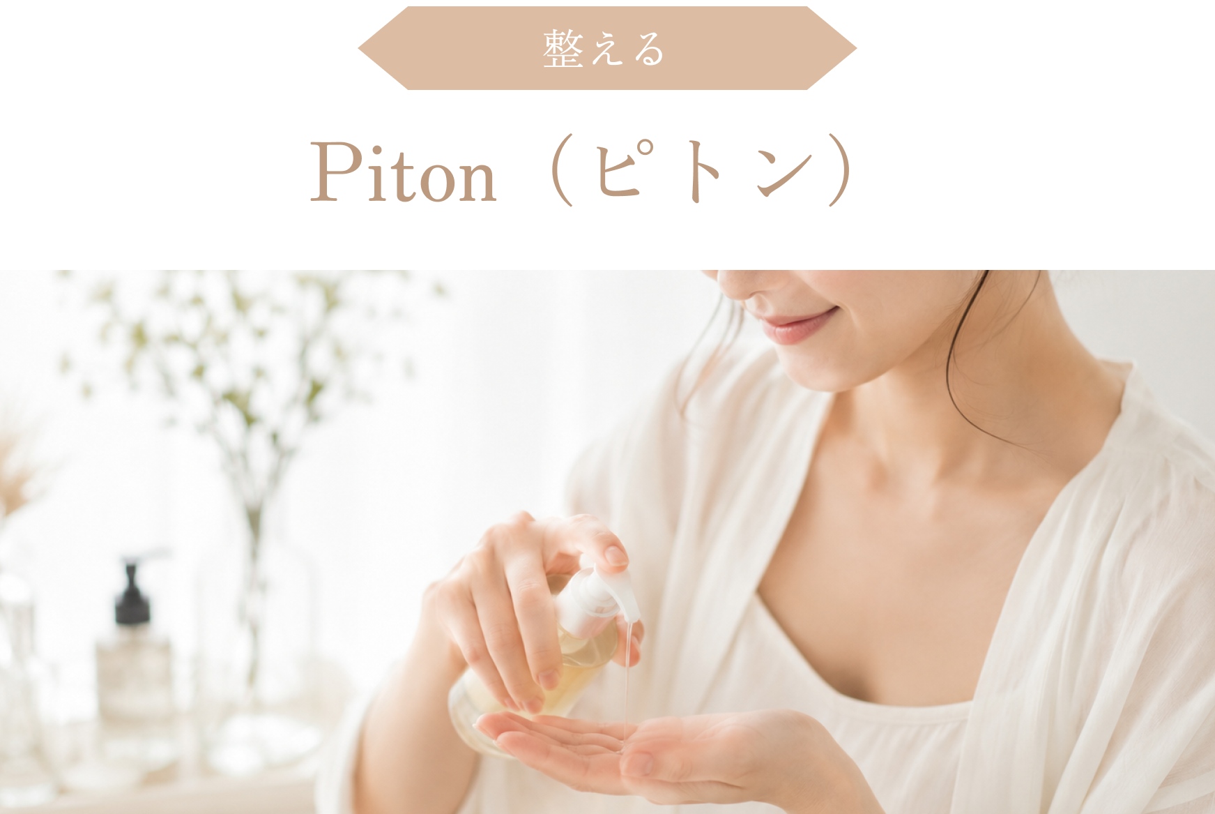 Piton（ピトン）